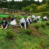 会場の草ひき